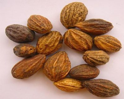 kha-tu-bach-an-khang