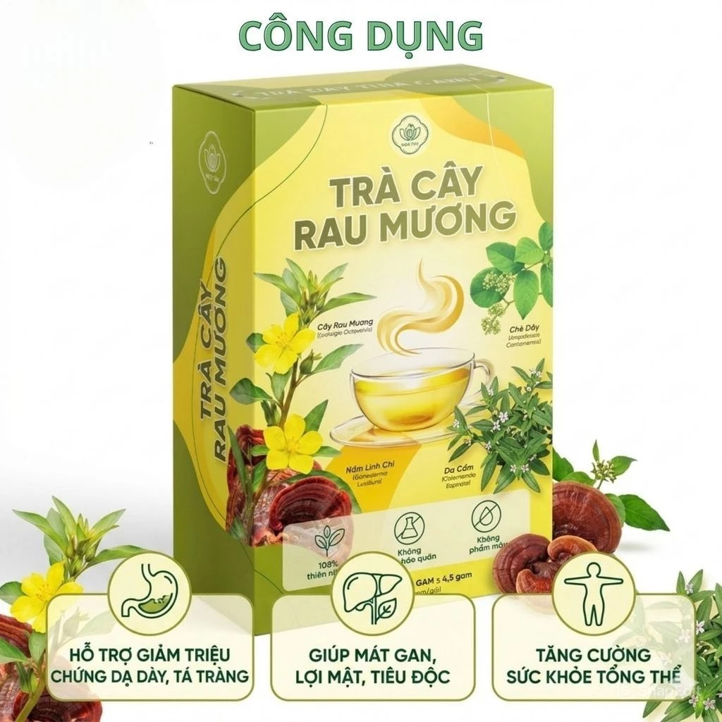 Trà túi lọc rau mương Mộc Tâm